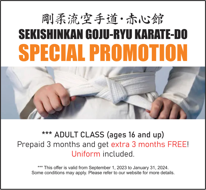 Vancouver Karate Special Promotion