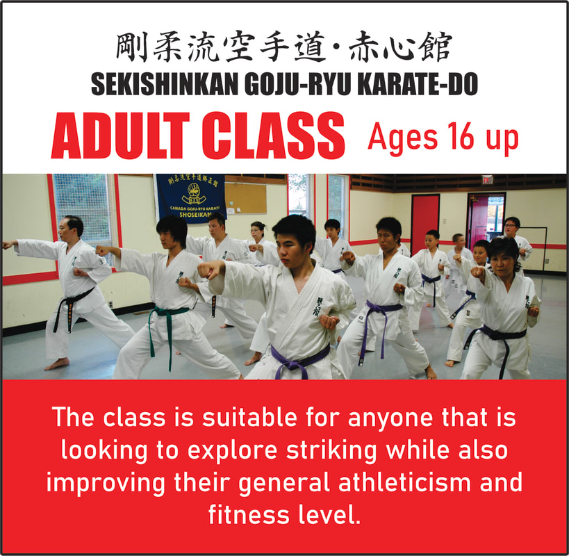 Adult Class for Karate