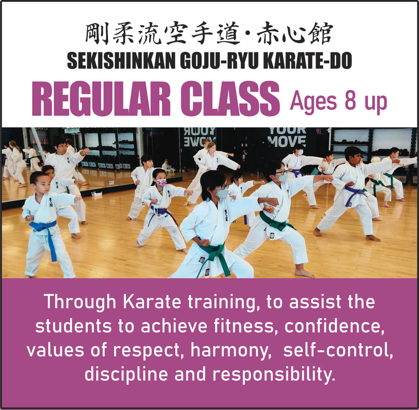 Vancouver Karate Class