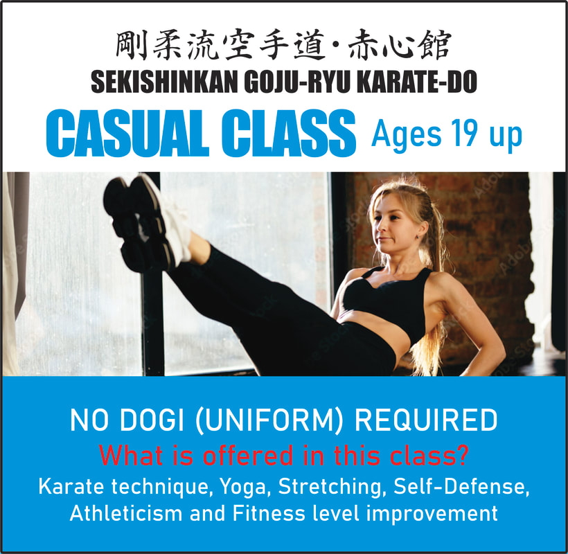 Casual fitness karate class